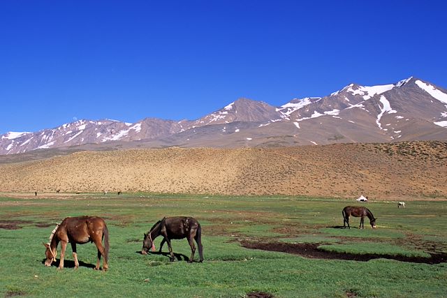 Mont M'Goun : Toubkal et M'Goun, les deux sommets Voyage Toubkal et M'Goun, les deux sommets