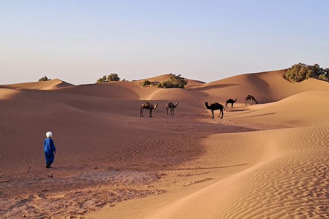 Voyage : Les confins du Sud marocain Voyage Les confins du Sud marocain
