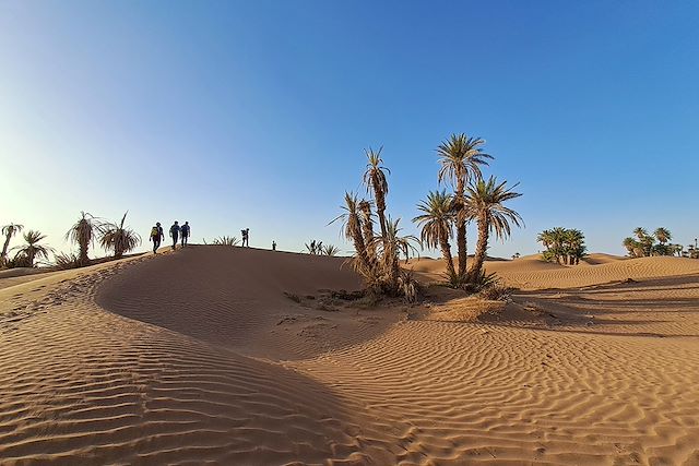 Voyage : Les confins du Sud marocain Voyage Les confins du Sud marocain