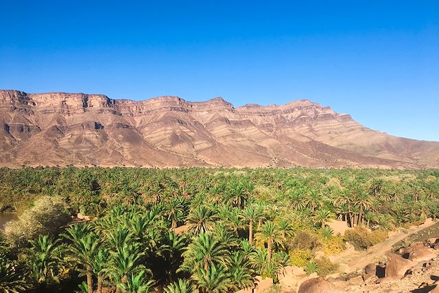 Patrimoine et Nature : Casbah du Drâa et désert Voyage Casbah du Drâa et désert