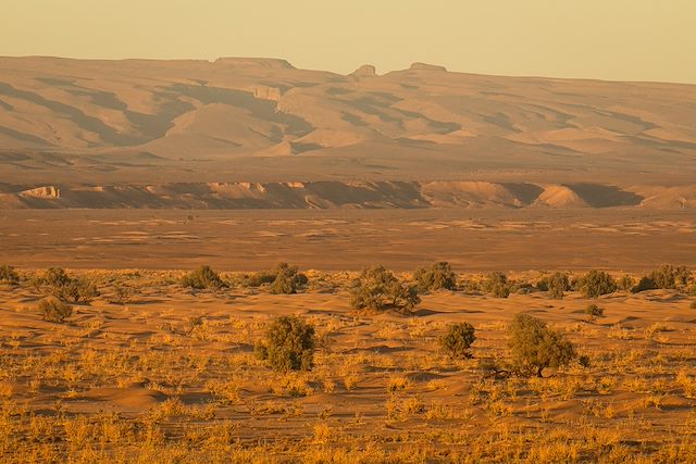 Voyage Désert et dunes du Drâa