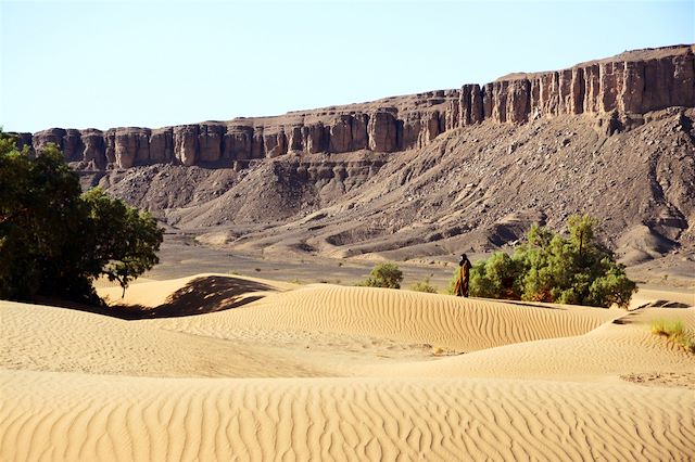 Voyage Tout au sud, le grand désert 