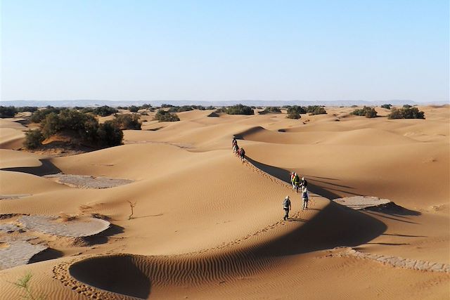 Voyage Tout au sud, le grand désert 