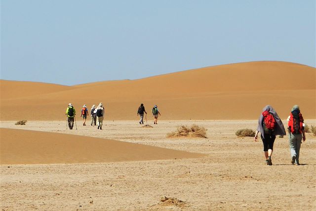 Voyage Tout au sud, le grand désert 