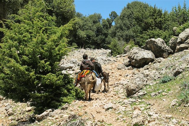 Forêts, collines, rivières et lacs : Villes impériales et merveilles du Sud Voyage Villes impériales et merveilles du Sud