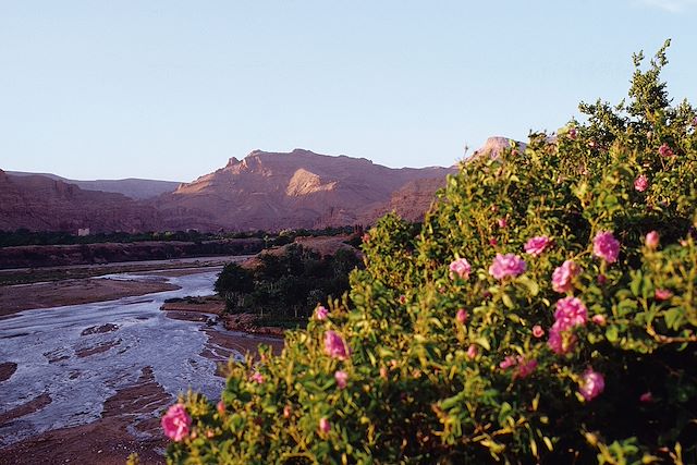 Voyage Vallée des roses et kasbahs du sud marocain