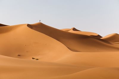Voyage  Sahara