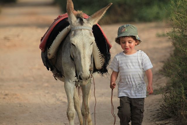 Voyage Des Berbères de l'Atlas à Essaouira 