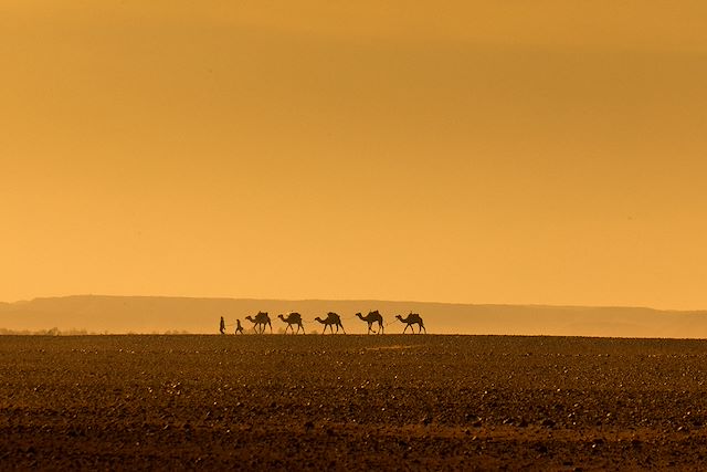 Voyage Merzouga et la vallée du Dadès