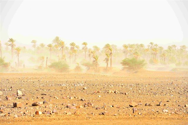 Voyage Désert et dunes du Drâa