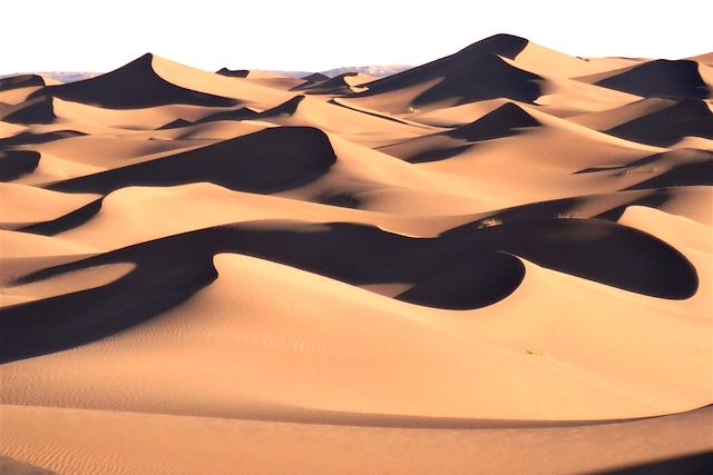 Voyage Dunes de sable, palmeraies et Marrakech