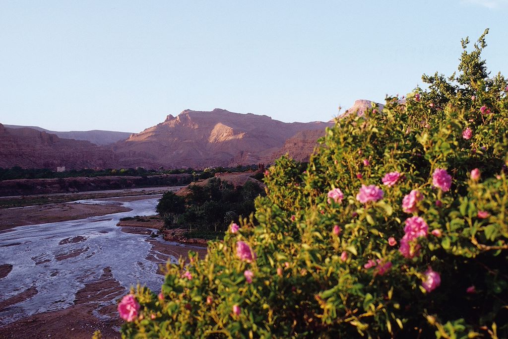 Randonnée Sahara