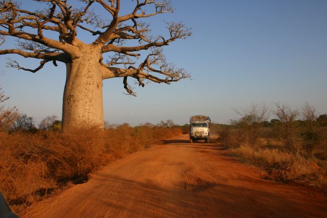 Madagascar : Voyages sur mesure