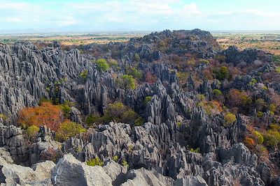 Madagascar : Voyages en famille