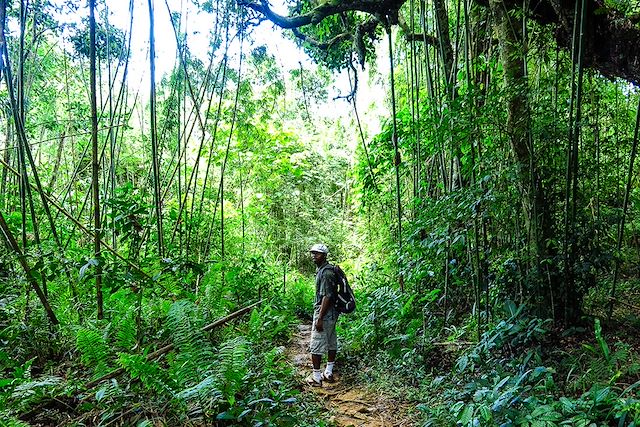 Voyage Sentier caché au pays de la vanille et des Tsingys