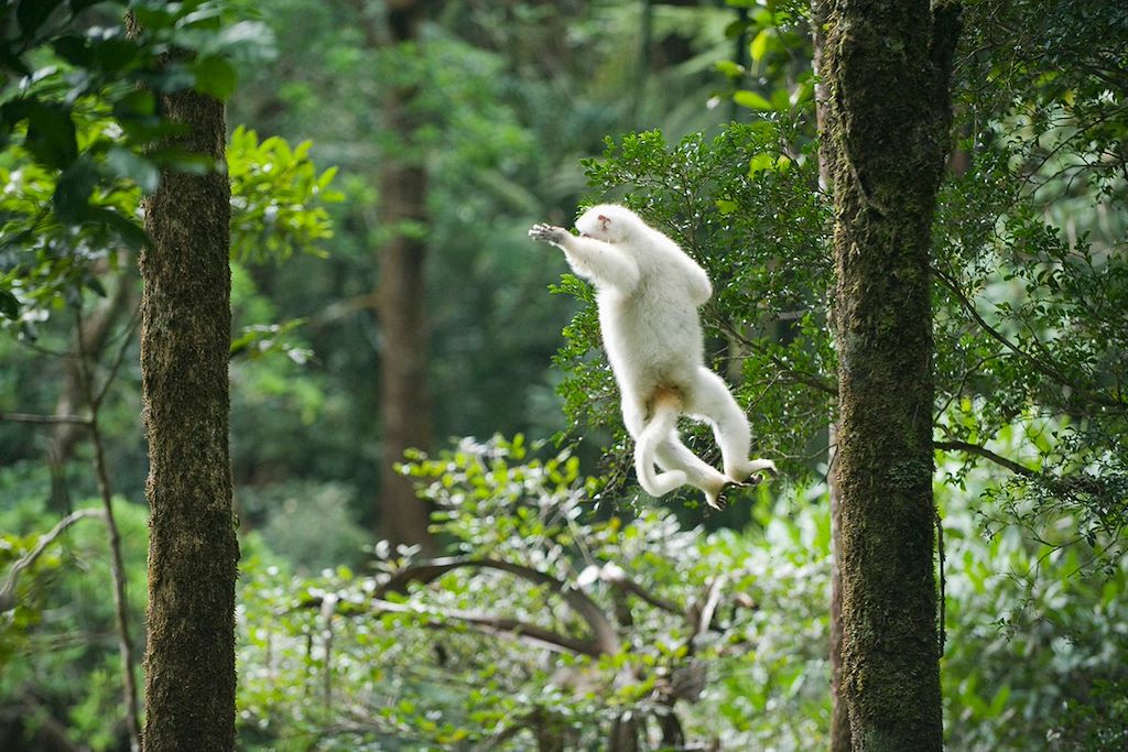 Voyage Nord Malgache et nosy bé