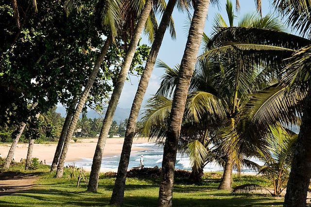 Voyage Sentier caché au pays de la vanille et des Tsingys