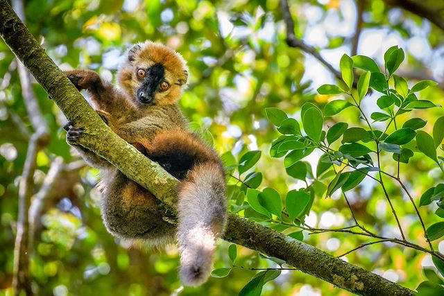 Voyage Découverte du sud malgache