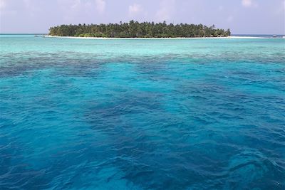Baignade - Snorkeling