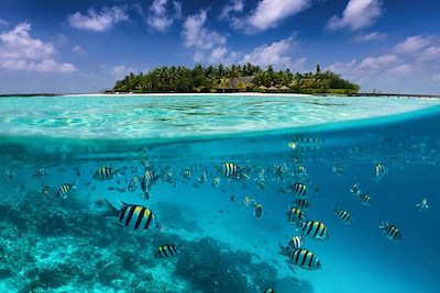 Voyage Bord de mer et îles Maldives