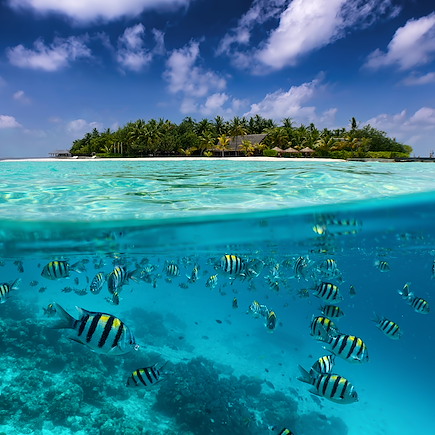 Voyage Maldives