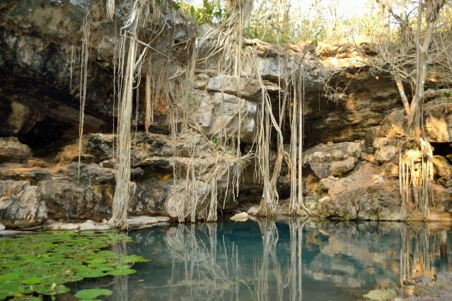 Voyage Trésors du Yucatán et forêts de jade
