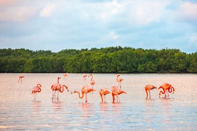 Voyage Patrimoine et Nature Mexique