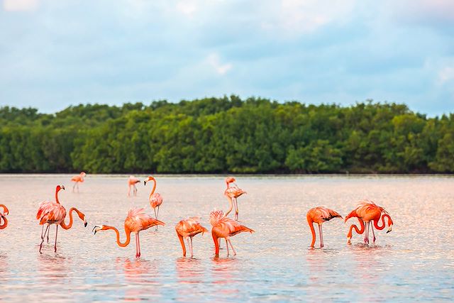 Voyage Immersion douce au cœur du Yucatán