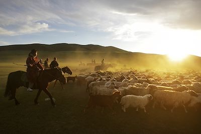 Circuits accompagnés Mongolie