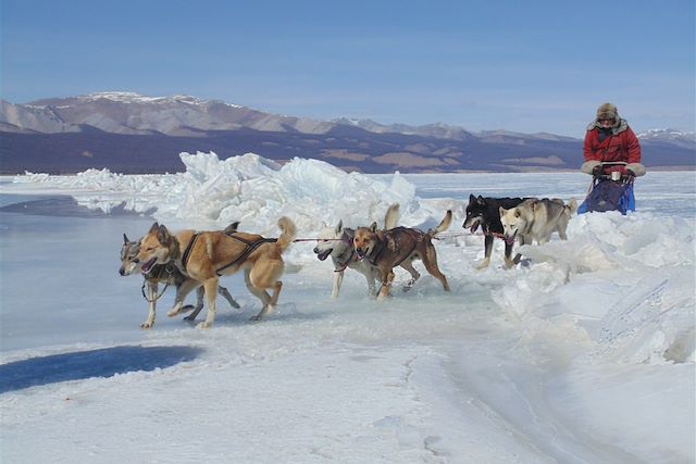 Neige : La grande aventure nordique de Khuvsgul Voyage La grande aventure nordique de Khuvsgul