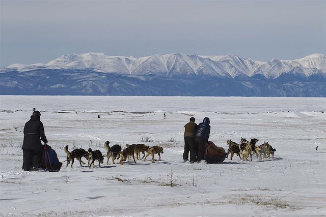 Neige : La grande aventure nordique de Khuvsgul Voyage La grande aventure nordique de Khuvsgul