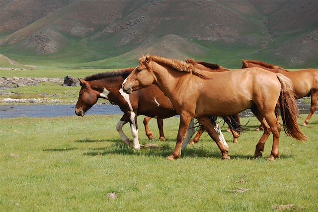 Désert : Du désert de Gobi à la vallée de l'Orkhon Voyage Du désert de Gobi à la vallée de l'Orkhon