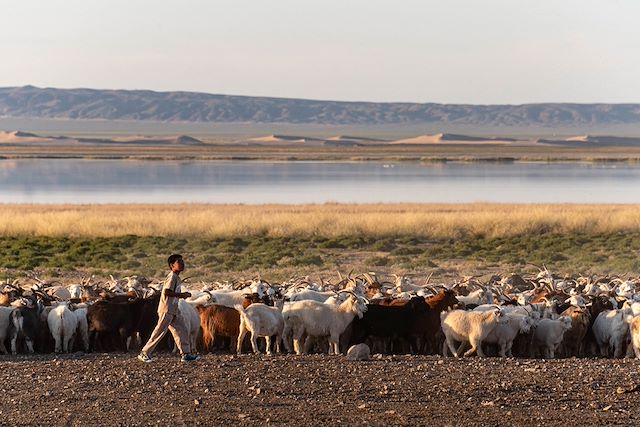 Voyage Aigliers de l'Altaï et chameliers du Gobi