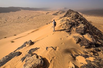 Randonnée avec chameau Mauritanie