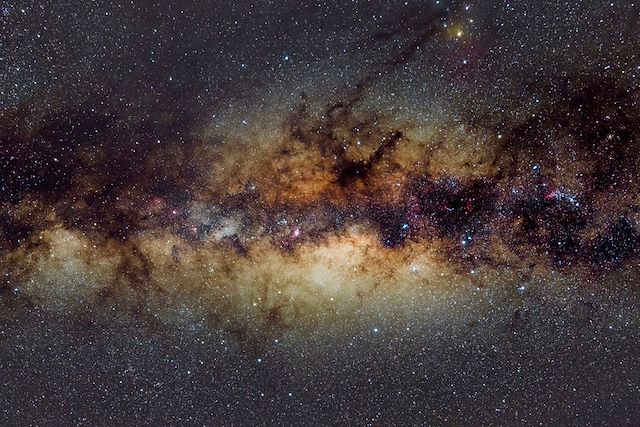 Faune : Voyage astronomie en Mauritanie avec Benoît Reeves Voyage Voyage astronomie en Mauritanie avec Benoît Reeves