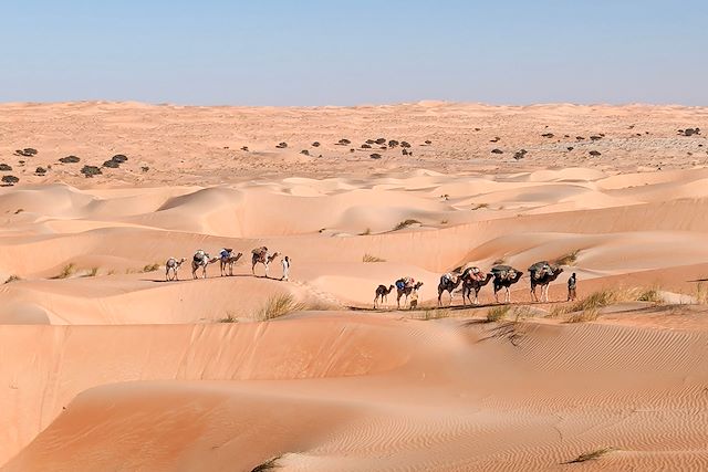 Voyage Chinguetti et les dunes de l'erg Ouarane