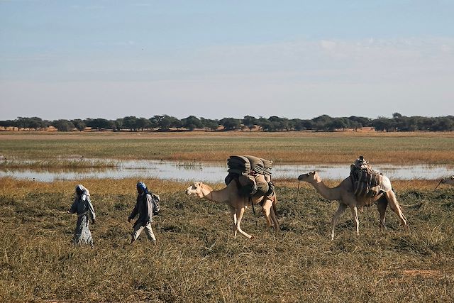 Voyage Des crocodiles du Tagant aux dunes de l'Adrar