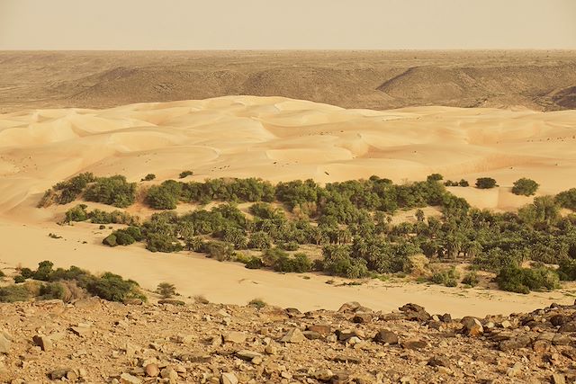 Voyage La grande traversée de l'Adrar au Tagant