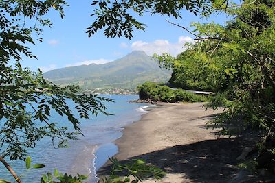 Voyage Martinique