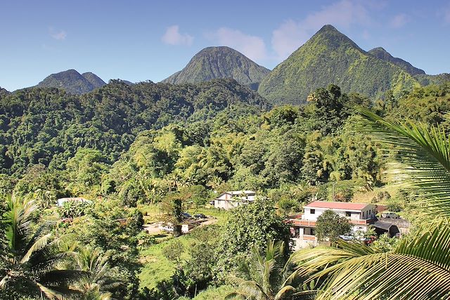 Voyage L'île de la Dominique en liberté 