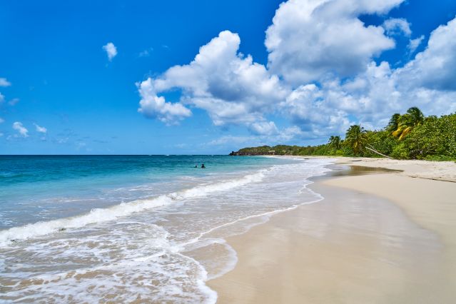 Martinique : Voyages liberté
