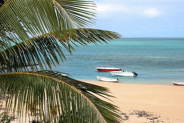 Voyage Rodrigues, nature sauvage et aventure créole