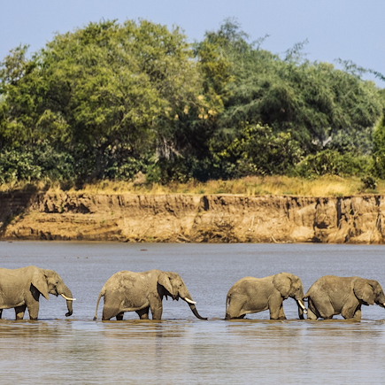 Voyage Malawi