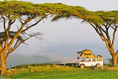 Safari Malawi