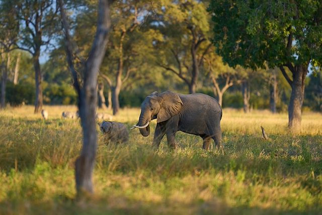 Voyage Safari authentique au Malawi et en Zambie