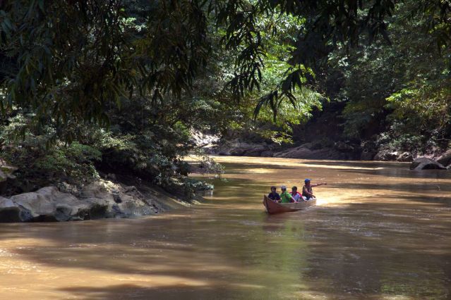 Voyage Immersion dans la jungle de Bornéo