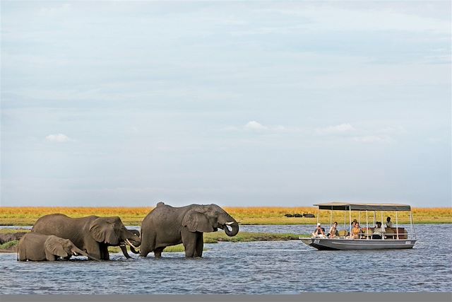 Voyage Road trip en Namibie jusqu'aux chutes Victoria