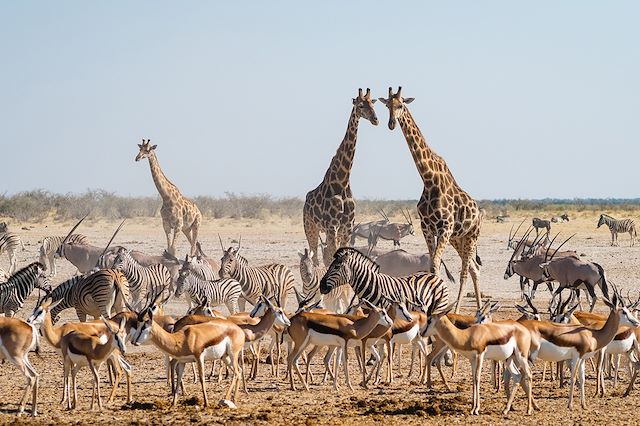 Voyage Road trip en Namibie jusqu'aux chutes Victoria