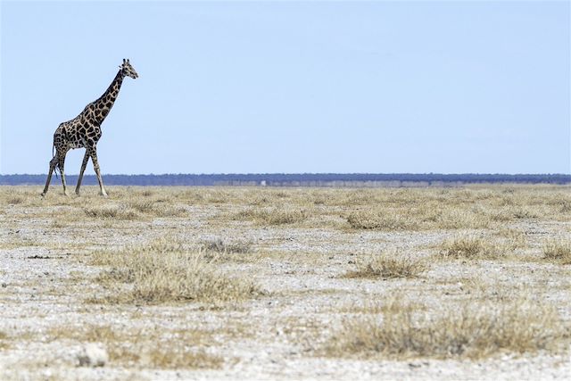 Voyage Randonnée dans le Fish River Canyon