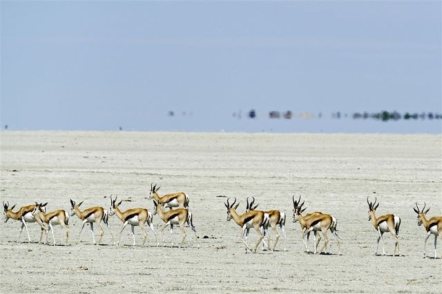 Voyage Echappée namibienne, de la simplicité à l'éclat